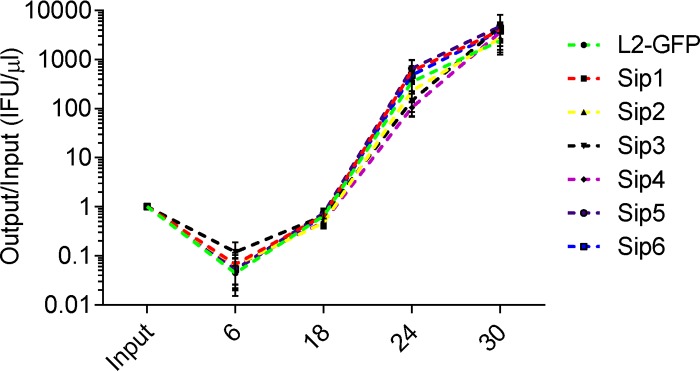 FIG 2