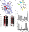 Fig. 3