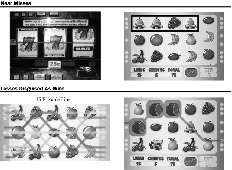 Fig. 1