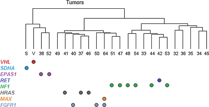 Fig. 3