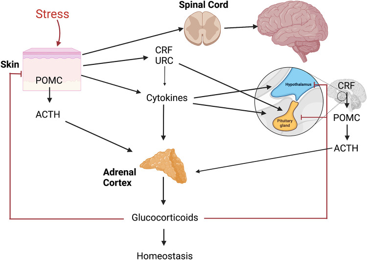 Figure 2.