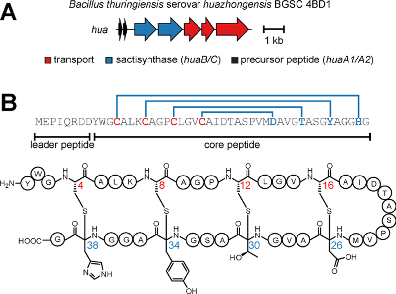 Figure 2.