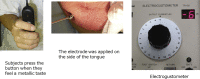 Fig. 3