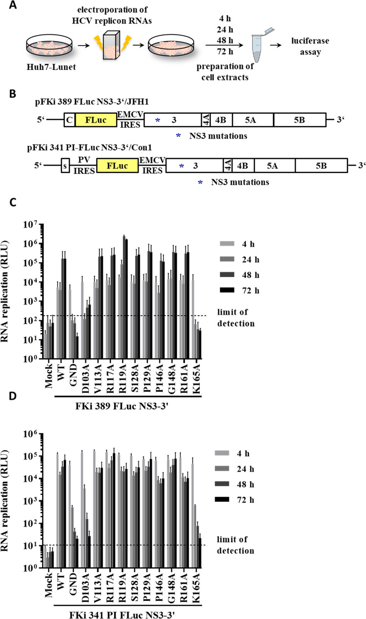 Fig 2