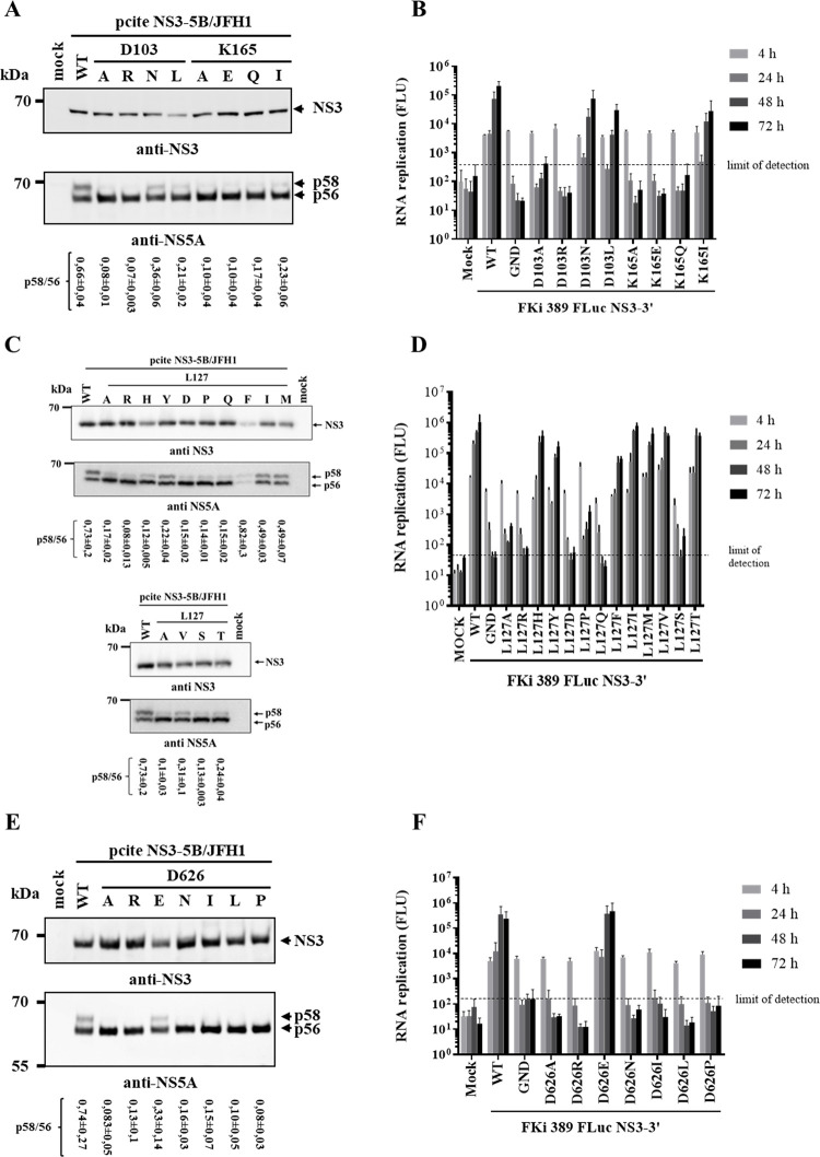 Fig 4