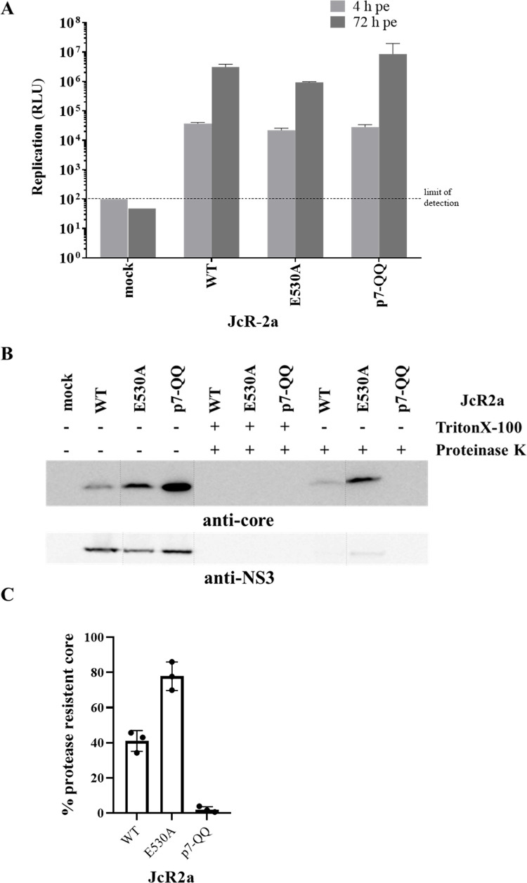 Fig 7