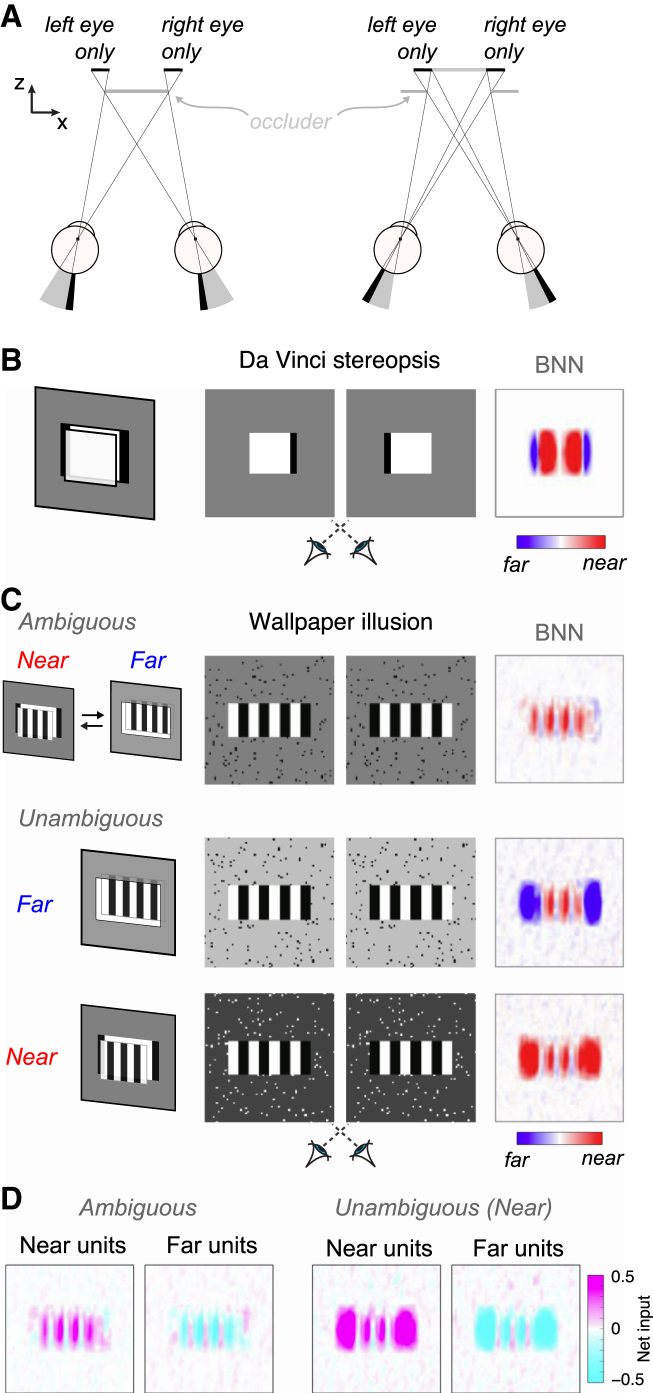 Figure 6