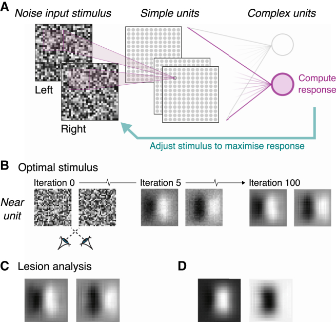 Figure 4