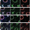 Figure 2—figure supplement 4.