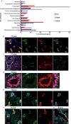 Figure 2—figure supplement 3.
