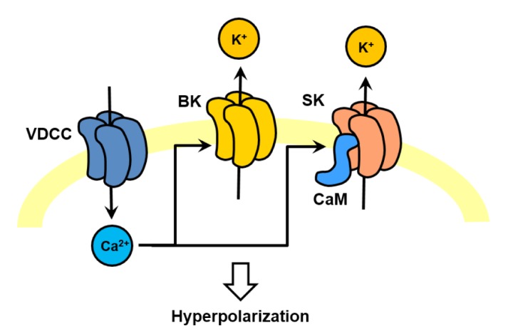 Fig. 2