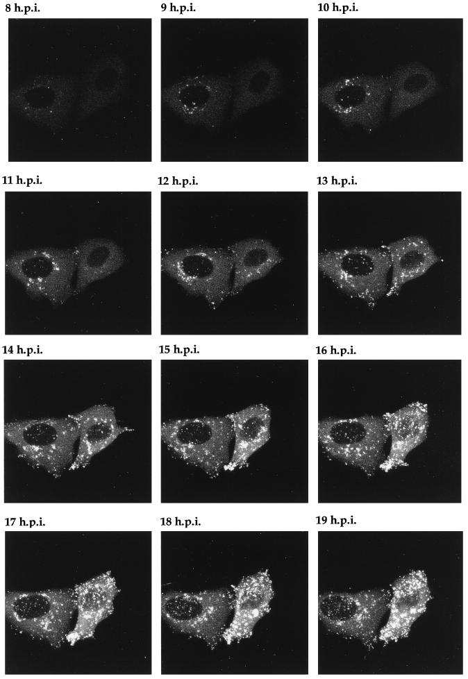 FIG. 8