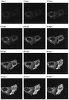 FIG. 8