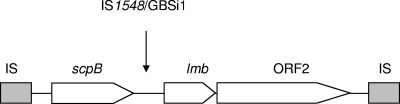 FIG. 1.