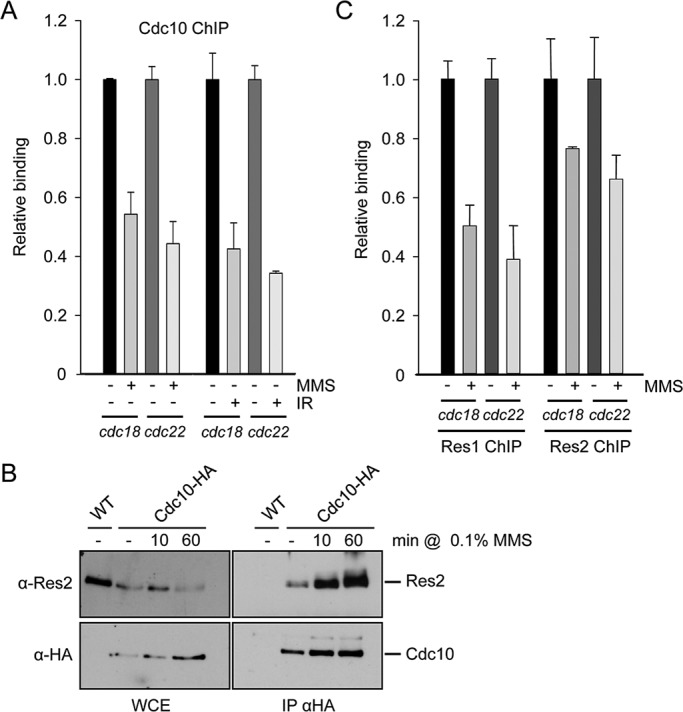 FIGURE 2: