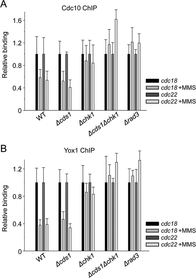 FIGURE 4: