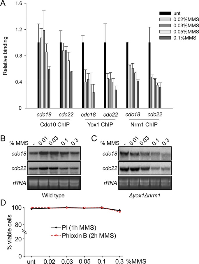 FIGURE 3: