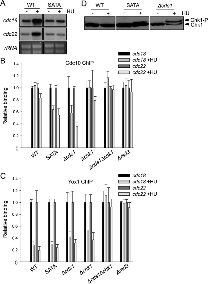 FIGURE 1: