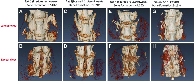 FIG. 8.