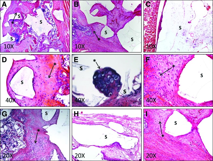 FIG. 9.