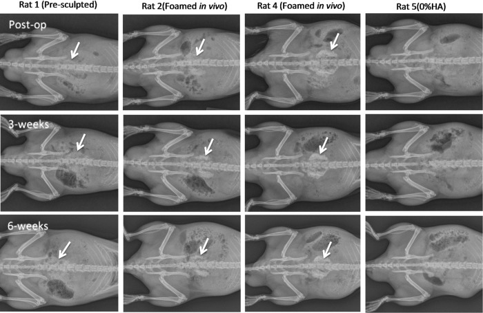 FIG. 7.