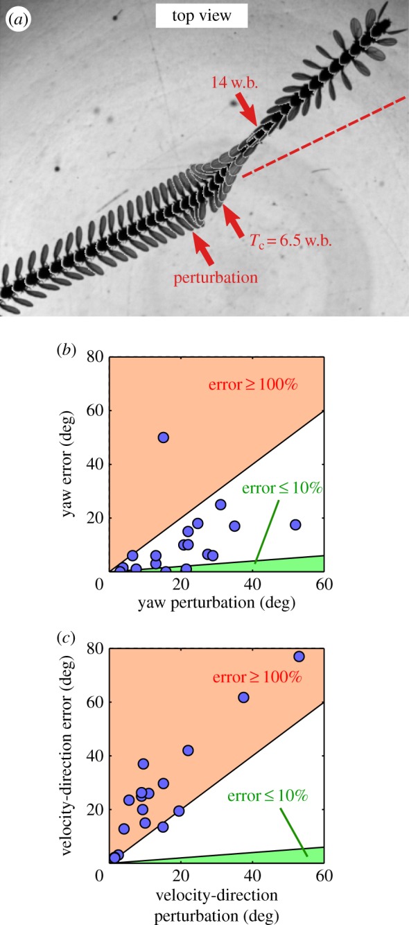 Figure 7.