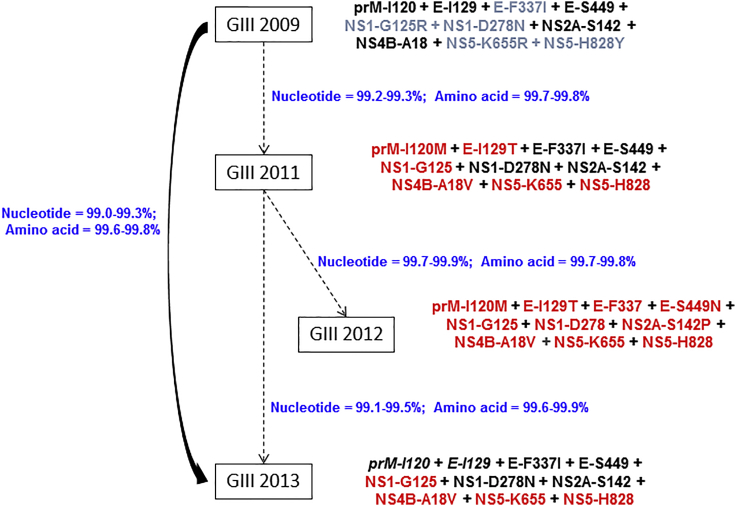 Figure 4