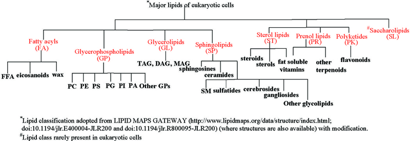 Fig 1.