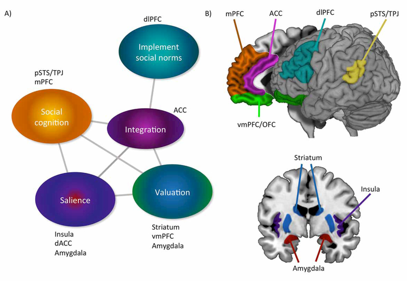 Figure 1: