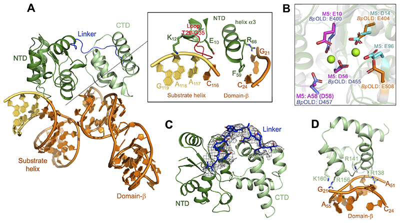 Figure 5