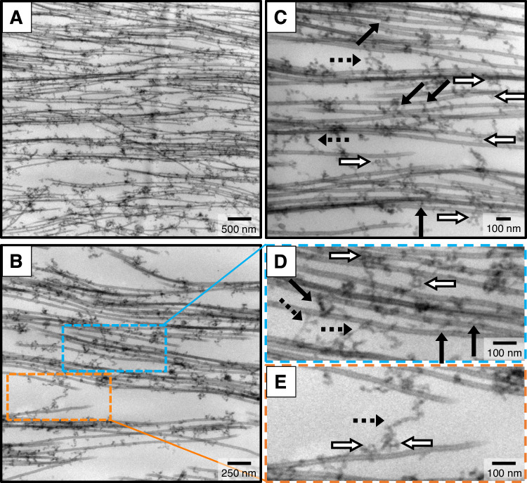 Fig. 10