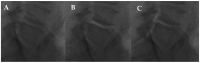 Figure 8