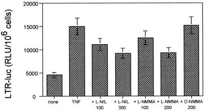 FIG. 10