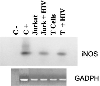 FIG. 7