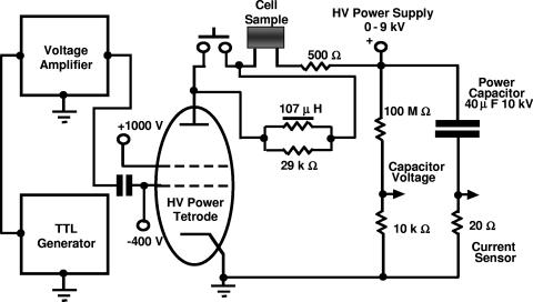 FIG. 1.