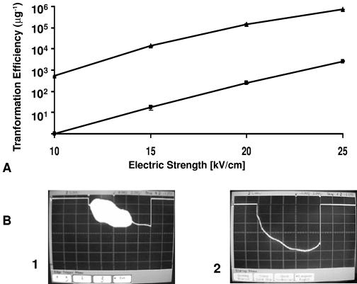 FIG. 7.