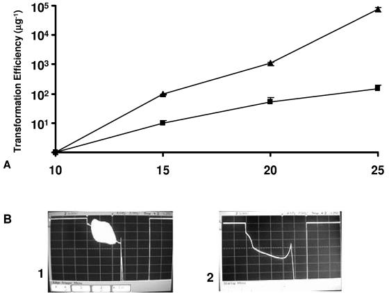 FIG. 5.