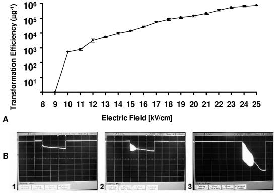 FIG. 4.