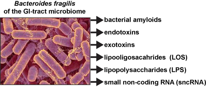 FIGURE 2 -