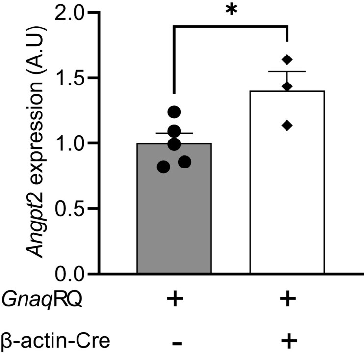 Fig. 7.