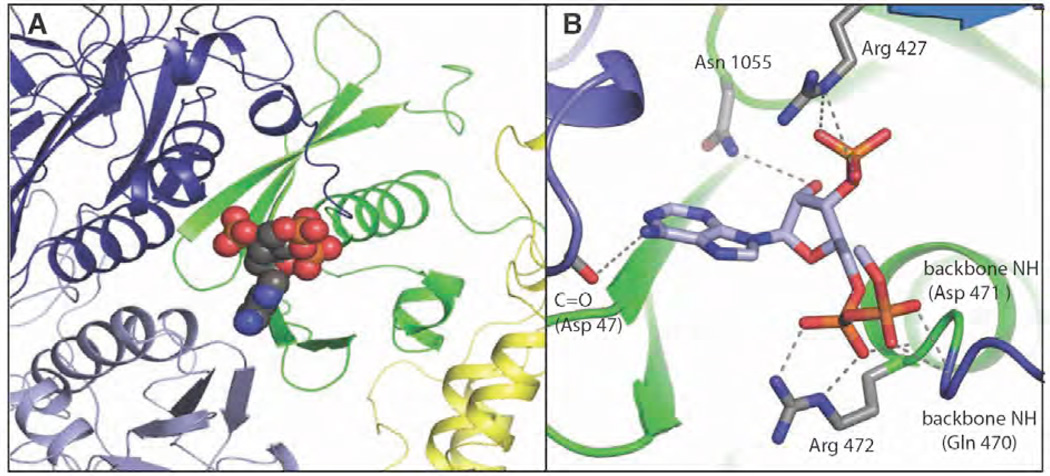 Figure 5