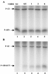 FIG. 8.