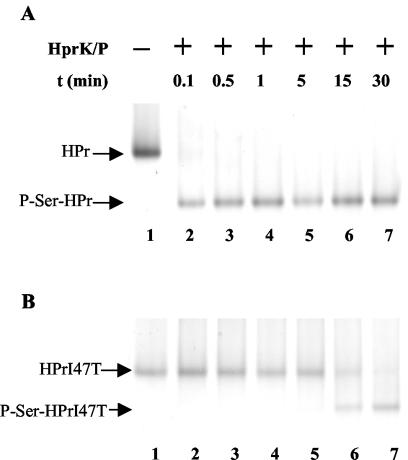 FIG. 7.