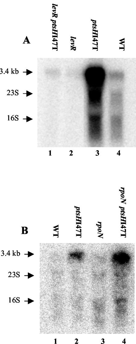 FIG. 5.