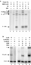 FIG. 6.