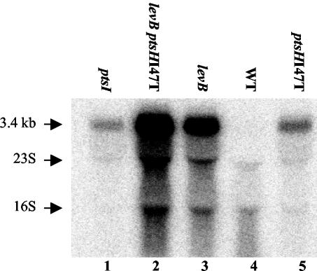 FIG. 10.