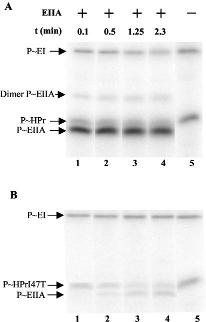 FIG. 9.