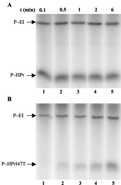 FIG. 8.