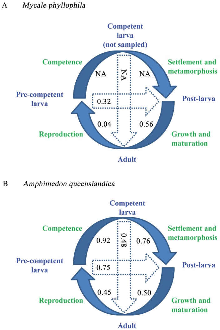 Figure 10