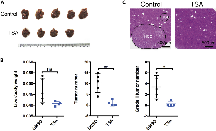 Figure 6